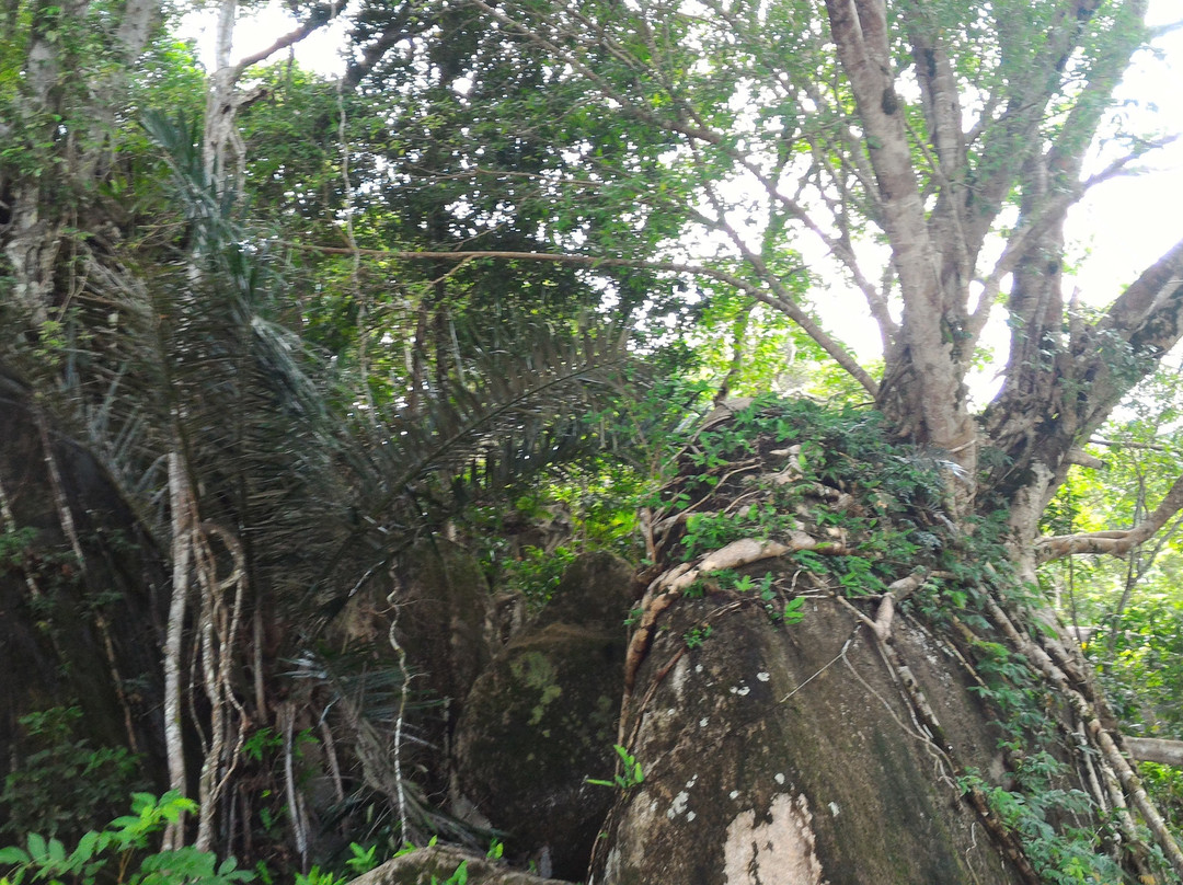 Tanjung Batu Pulas Beach景点图片