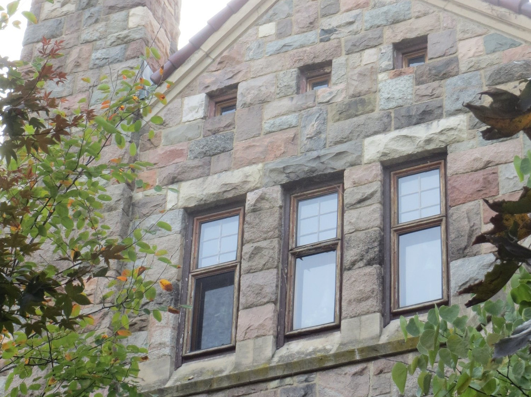 Castle Gallery-韦恩堡必去景点