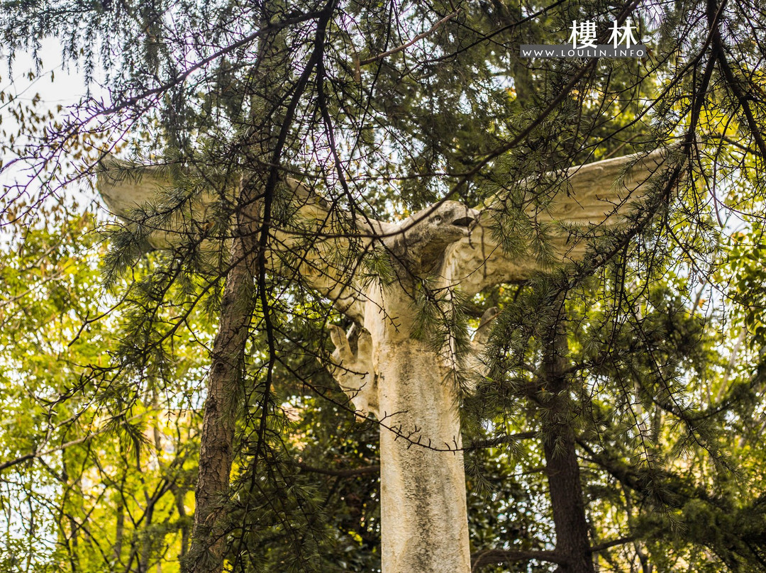 南门河游园景区-潜江市必去景点