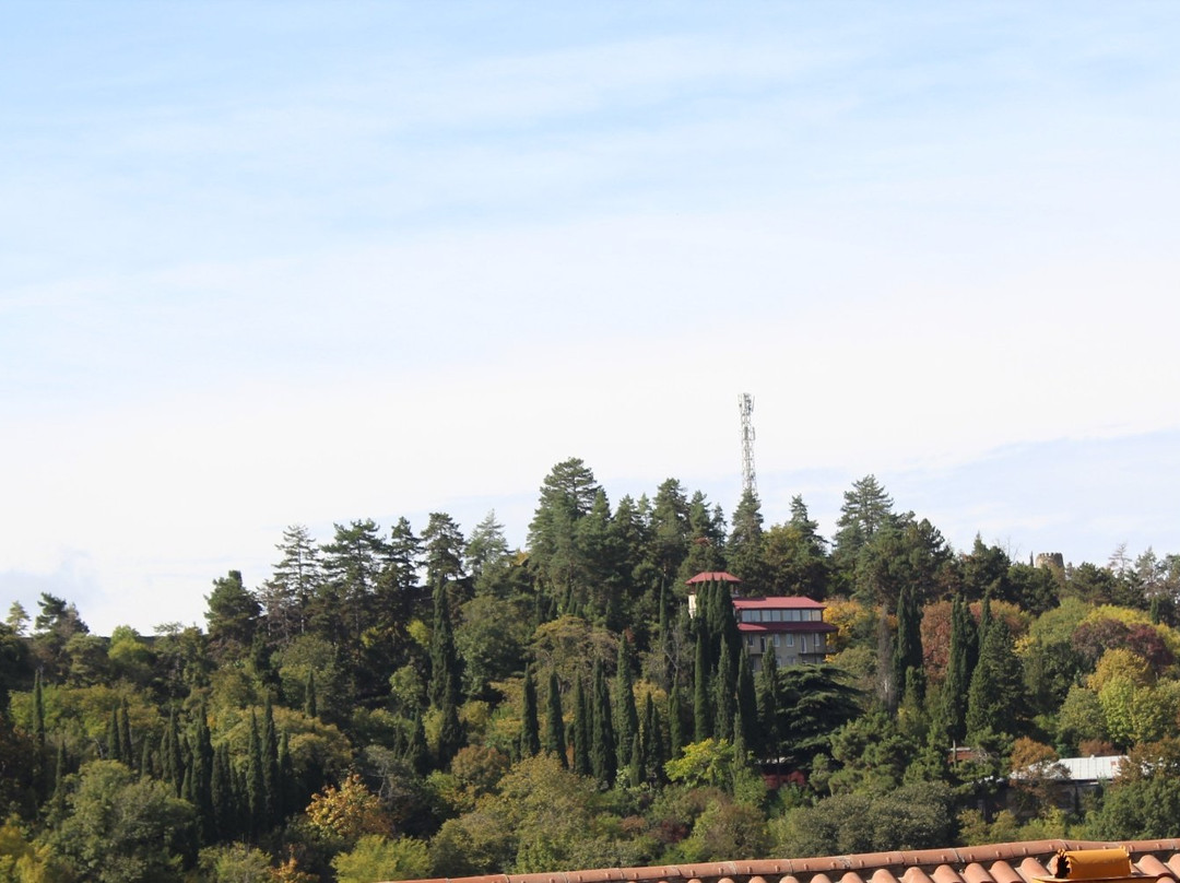 Sighnaghi Ethnographic Park景点图片