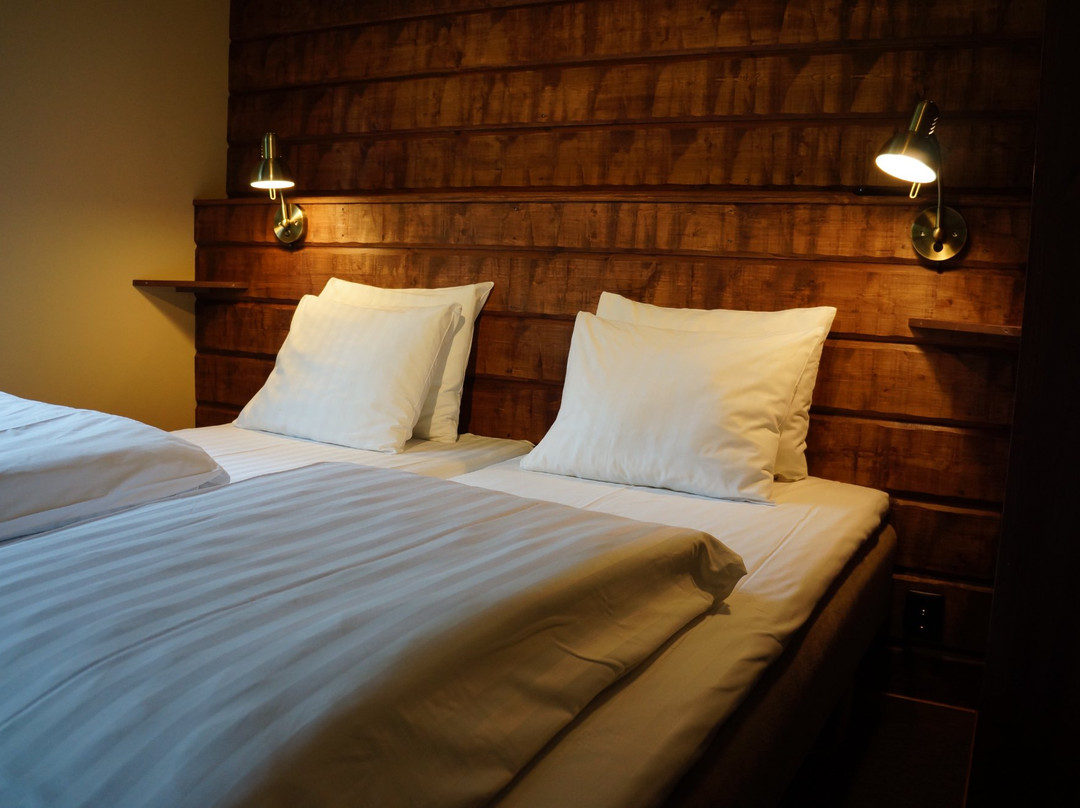 Bruksvallarnas Fjallhotell主图