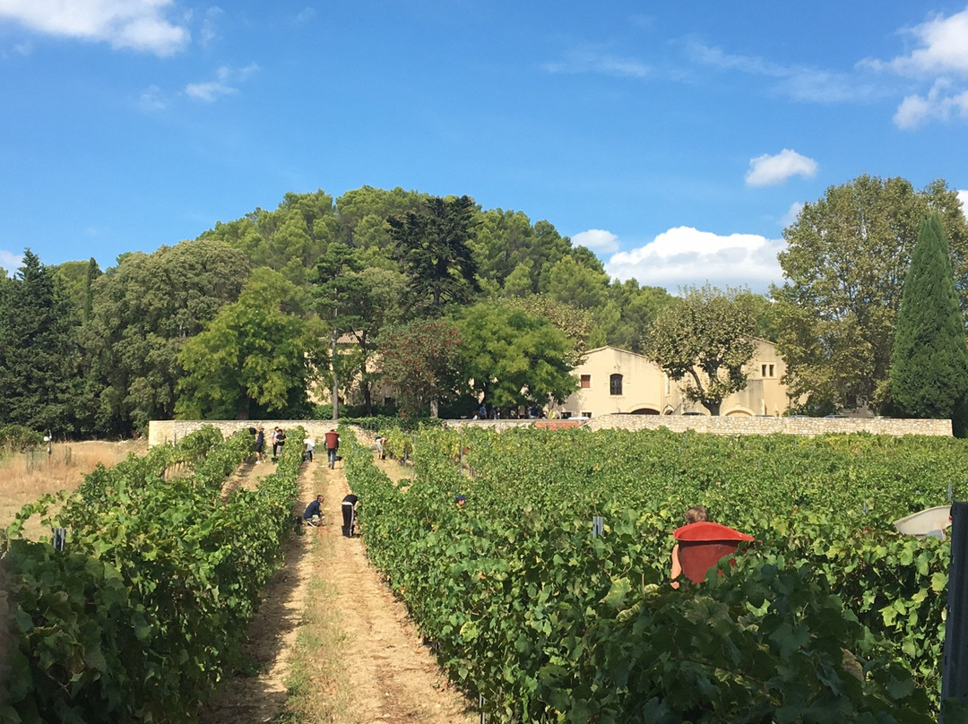 Domaine Maspiquet-Grabels必去景点