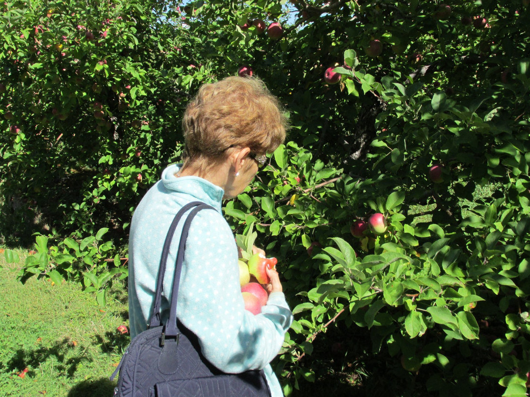 Applecrest Farm Orchards-Hampton Falls必去景点