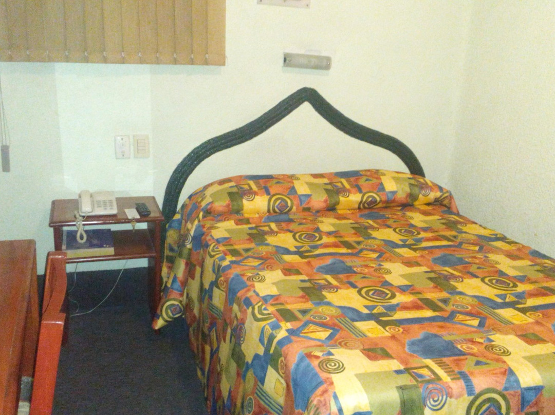 Hotel Guadalajara主图