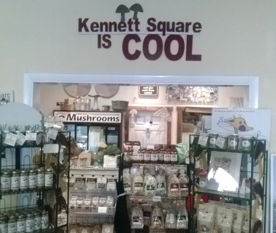 The Mushroom Cap-肯尼特斯奎尔必去景点