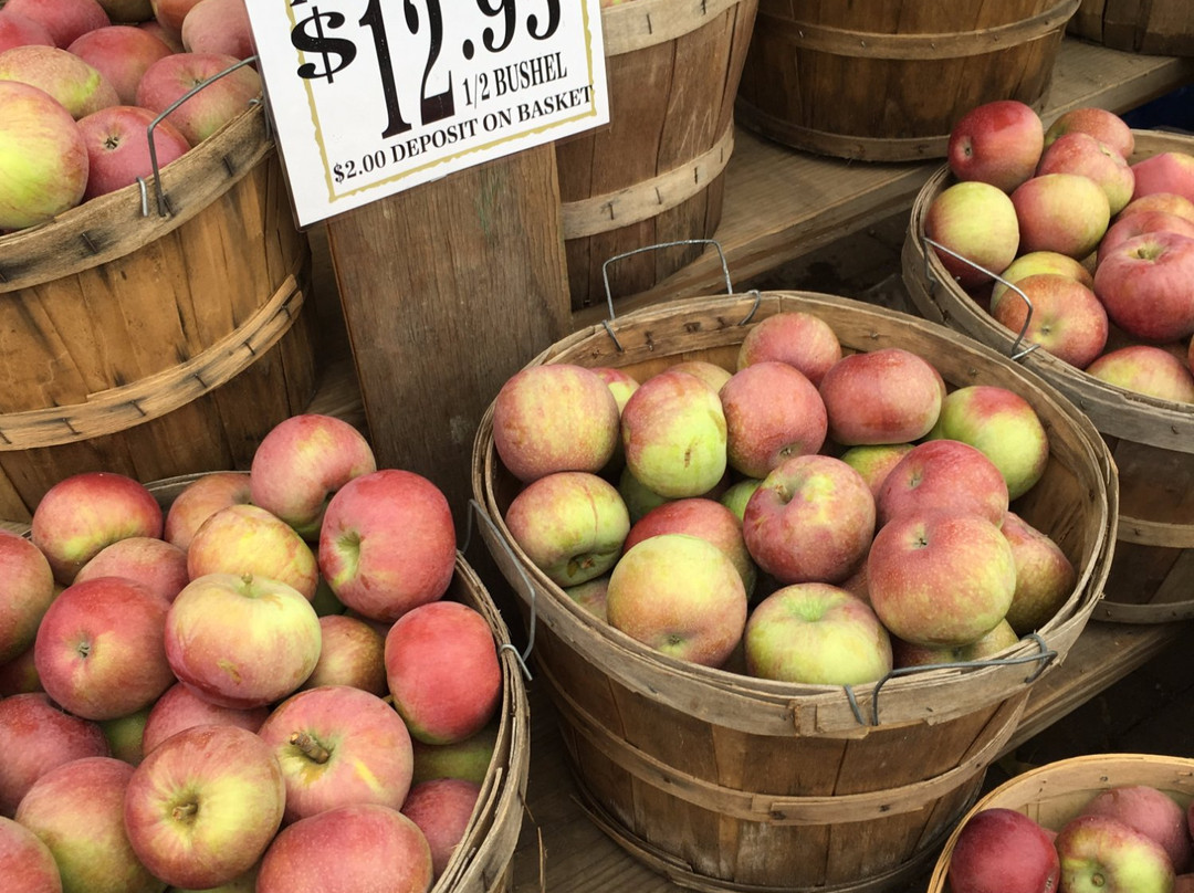 Cherry Street Market景点图片