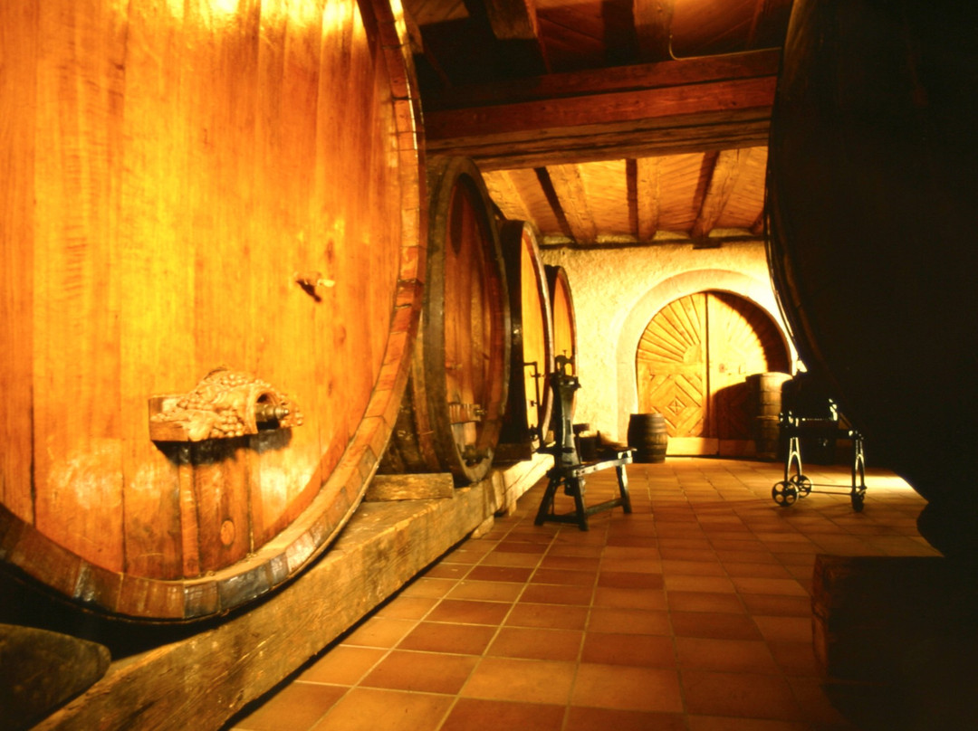 Domaine Marie et Cécile Albrecht - Bleger景点图片