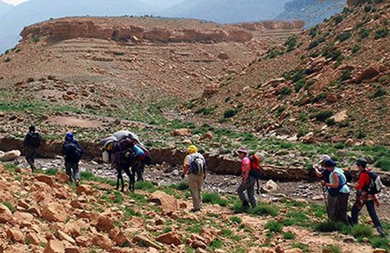 Day Trip Marrakech-马拉喀什必去景点