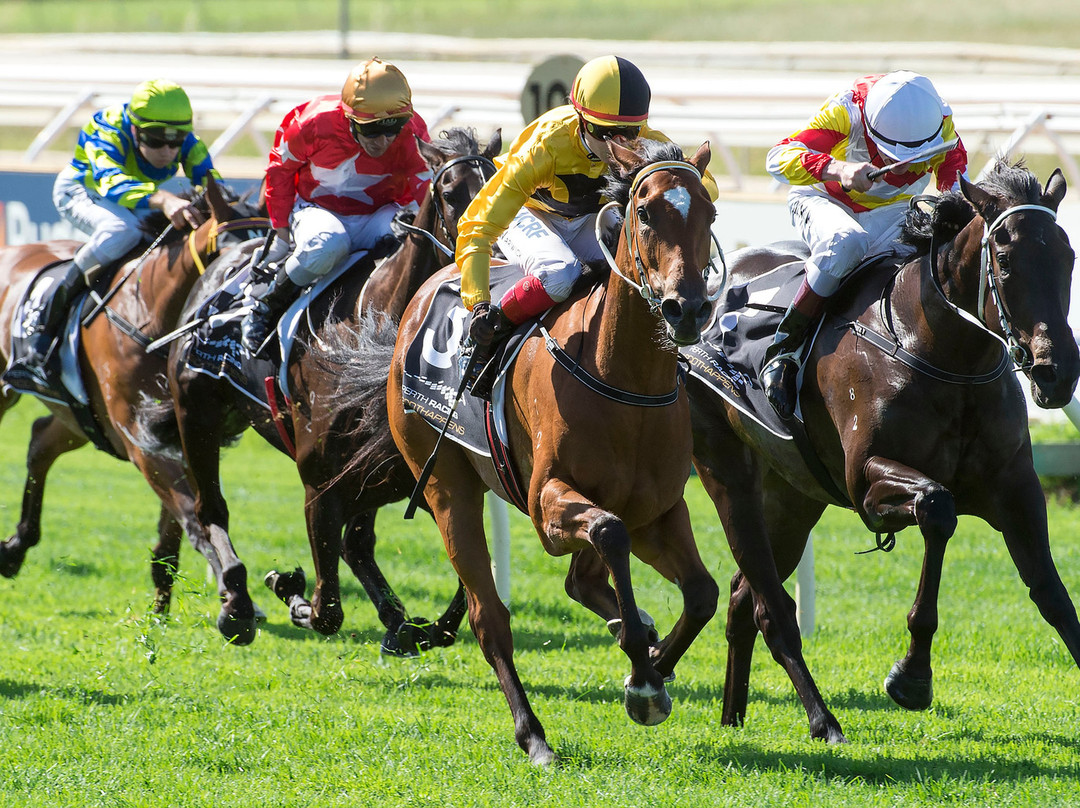 Ascot Racecourse景点图片