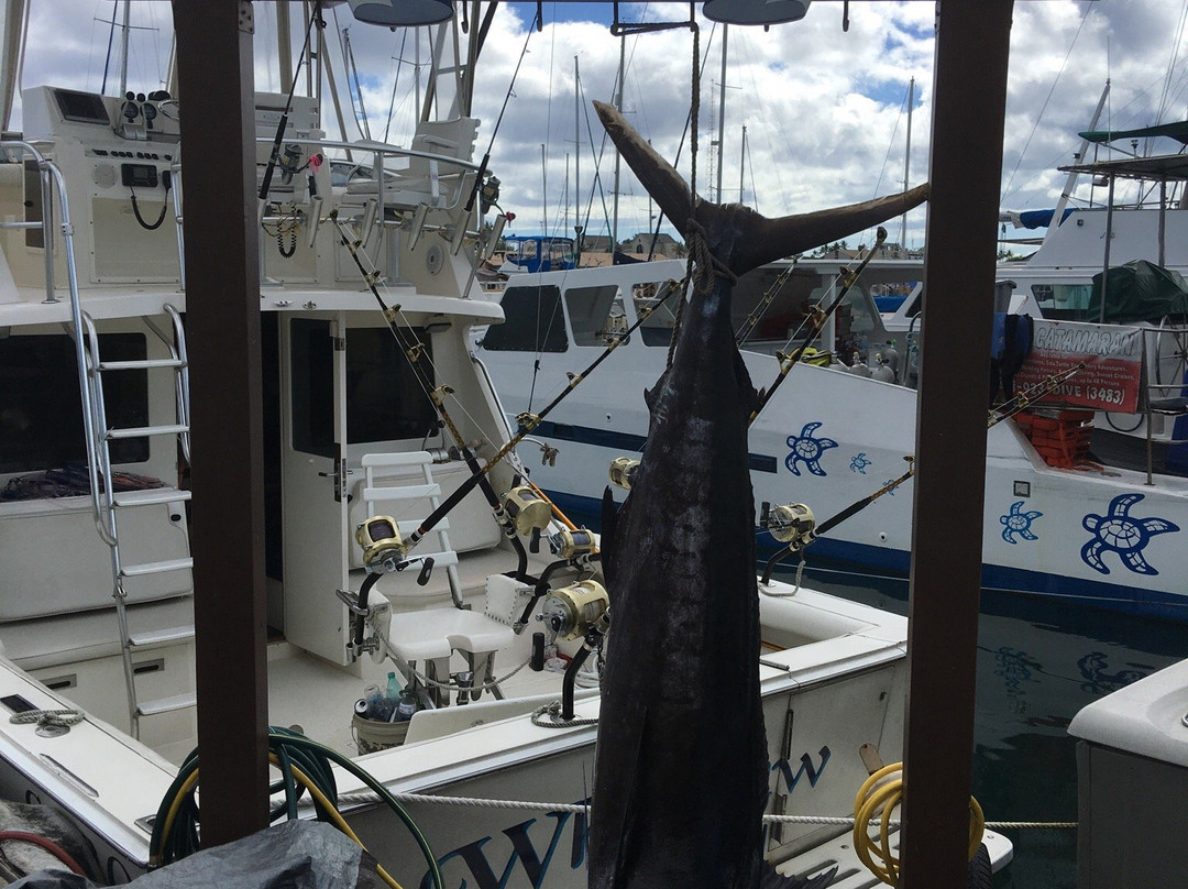 Hawaii Deep Sea Fishing-火奴鲁鲁必去景点