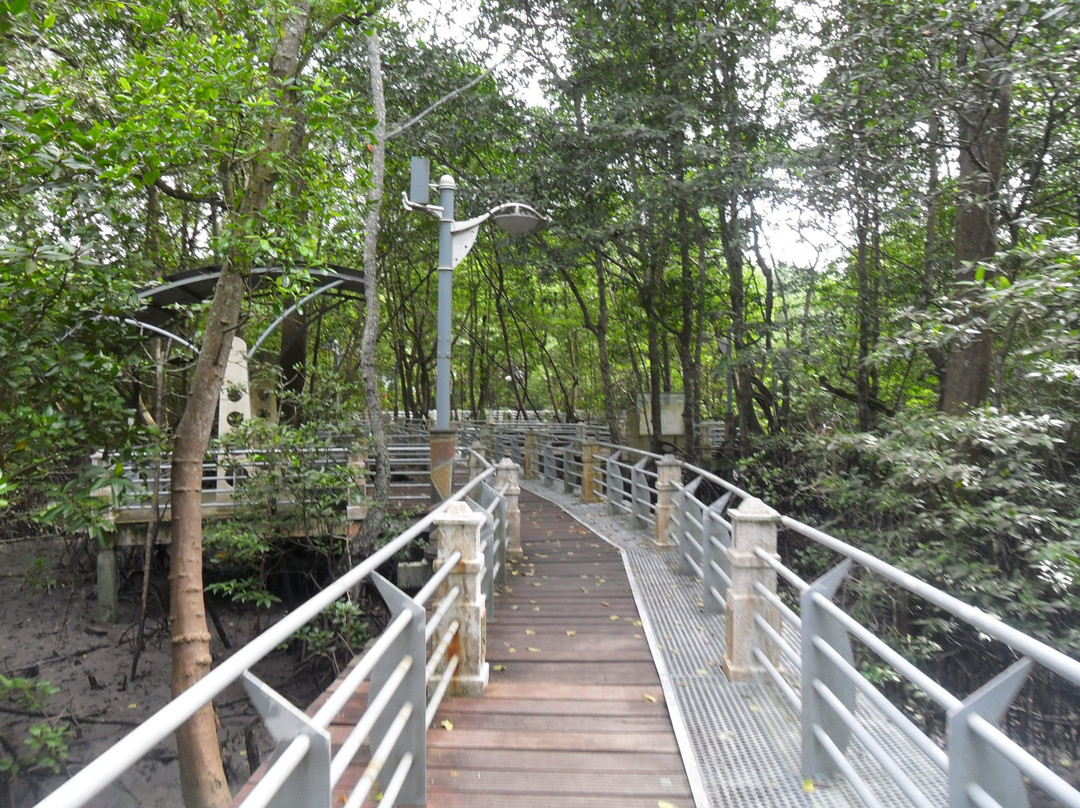 Mangrove Swamp Park-红土坎必去景点