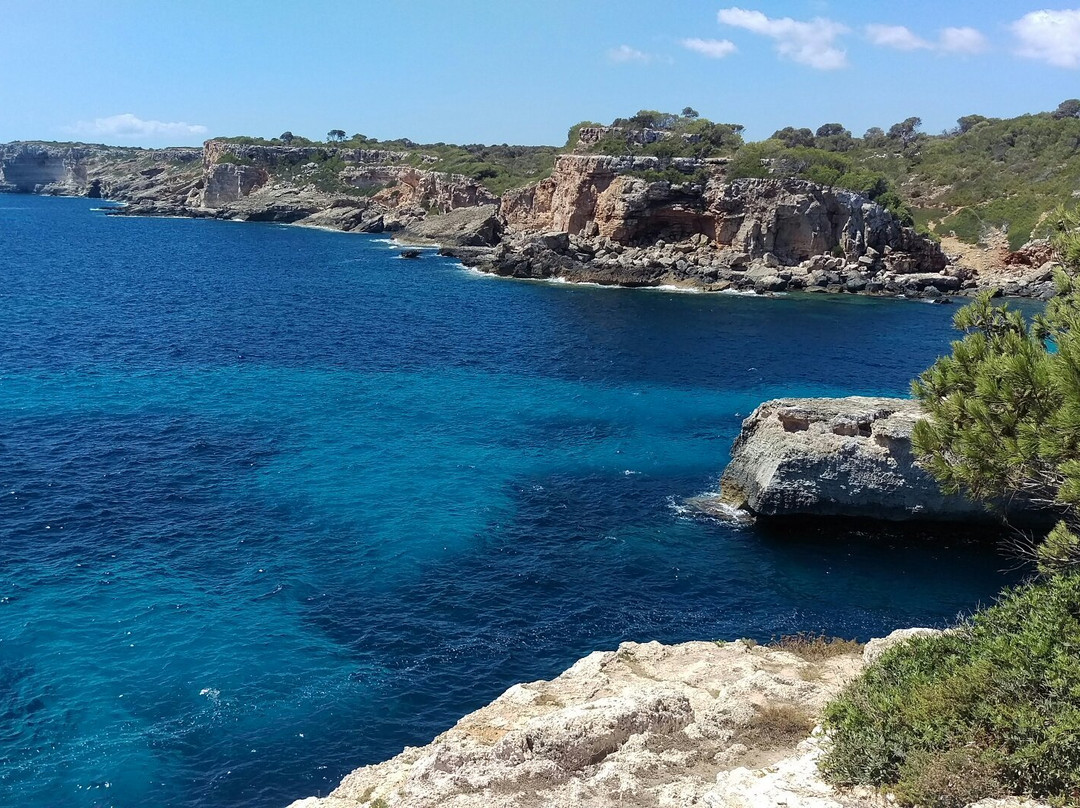 Cala s'Almunia-桑塔尼必去景点