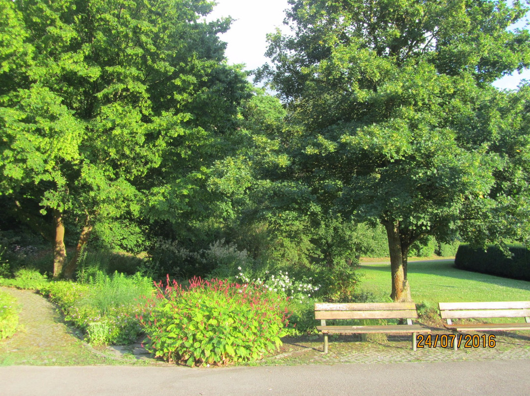 Wertwiesenpark景点图片