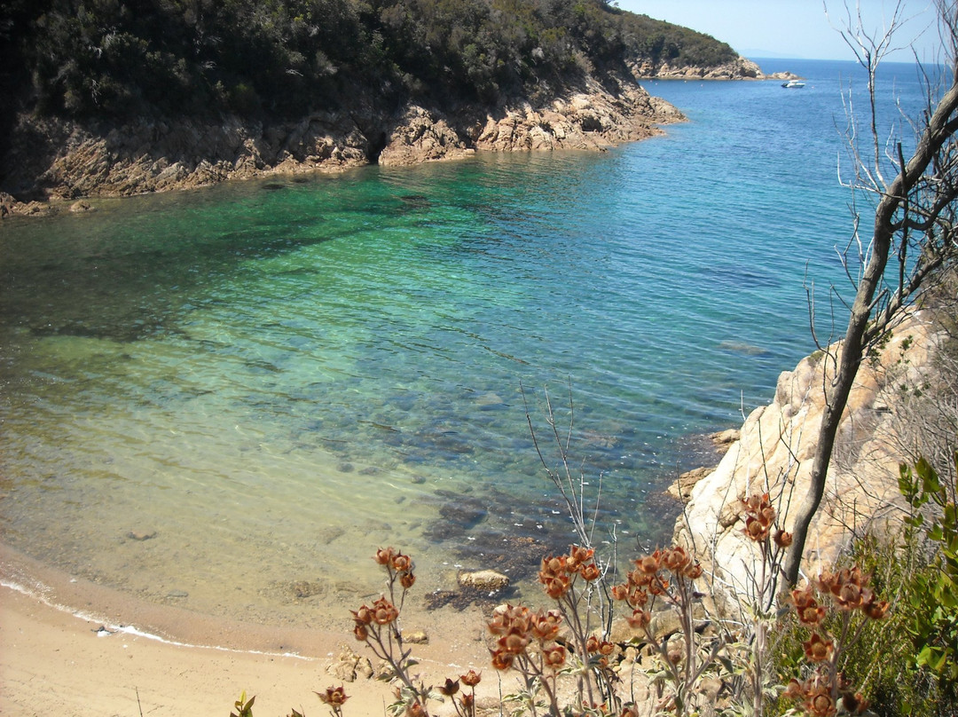 Walking trail to Spiaggia della Biodola景点图片