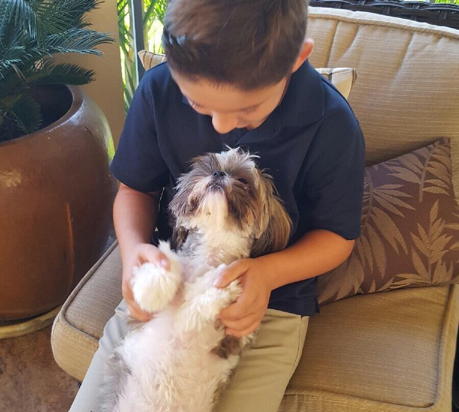 Berlin Pets-Millersburg必去景点