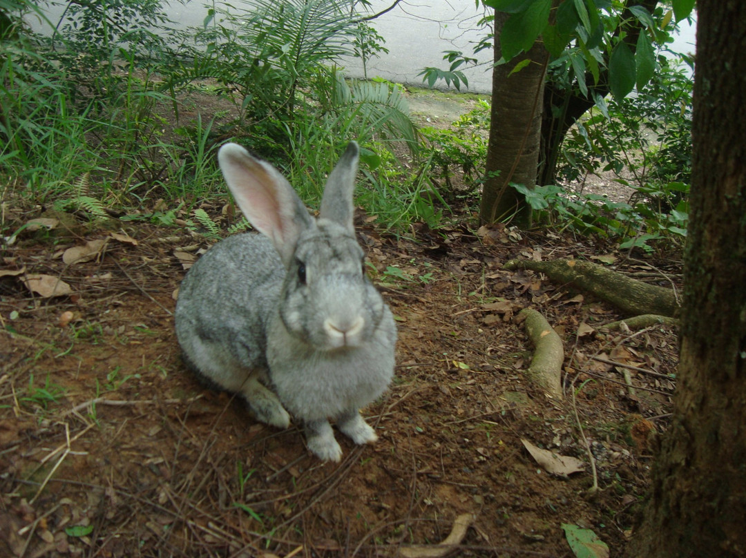 Anthero dos Santos Ecological Park-瓜拉廷格塔必去景点