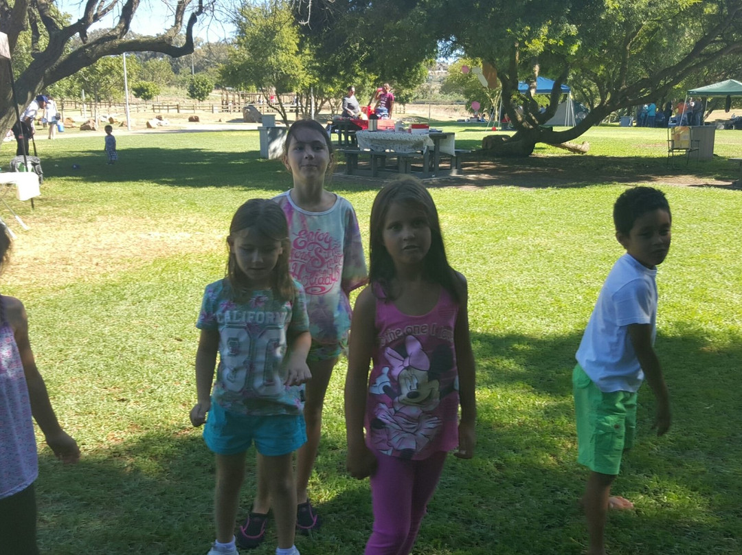 Jack Muller/ Danie Uys District Park, City Of Cape Town-Bellville必去景点