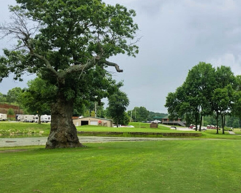 The Creeks Golf景点图片