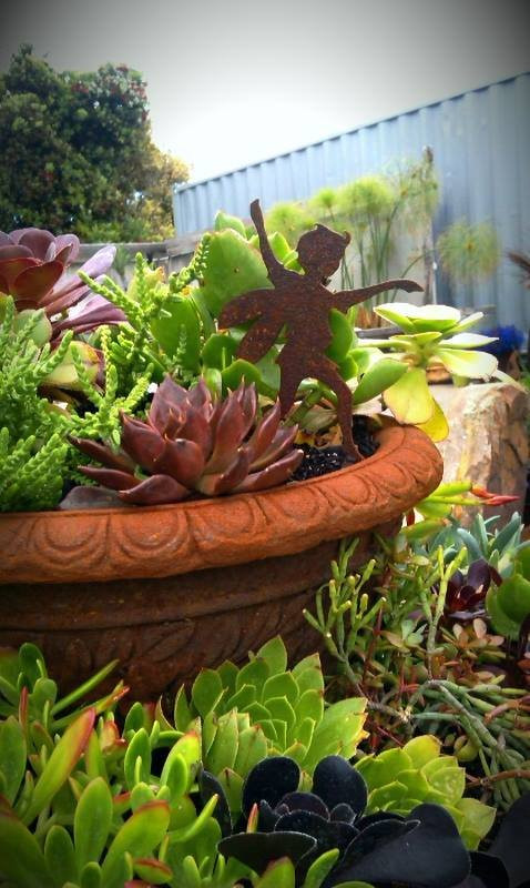 Designer Dirt-奥尔巴尼必去景点