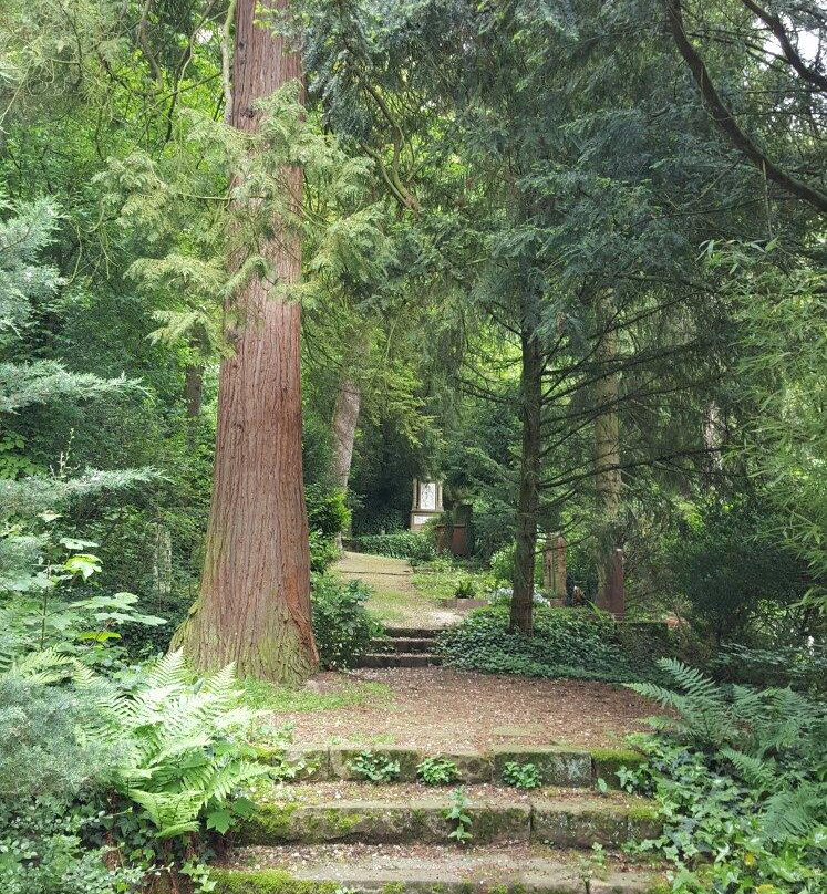 Bergfriedhof Heidelberg景点图片