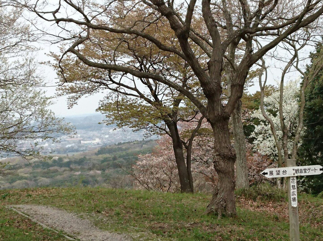 Mifune no Sato Information Center