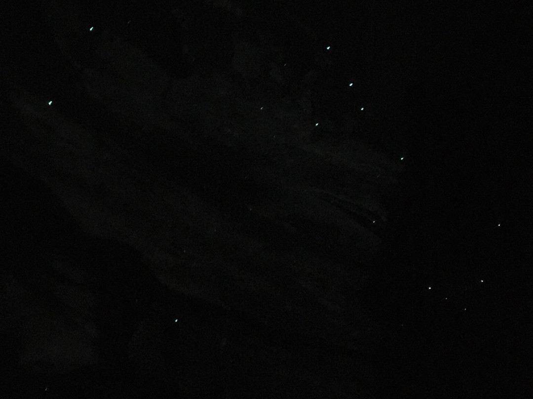 Blue Mountains Glow Worm Tours景点图片