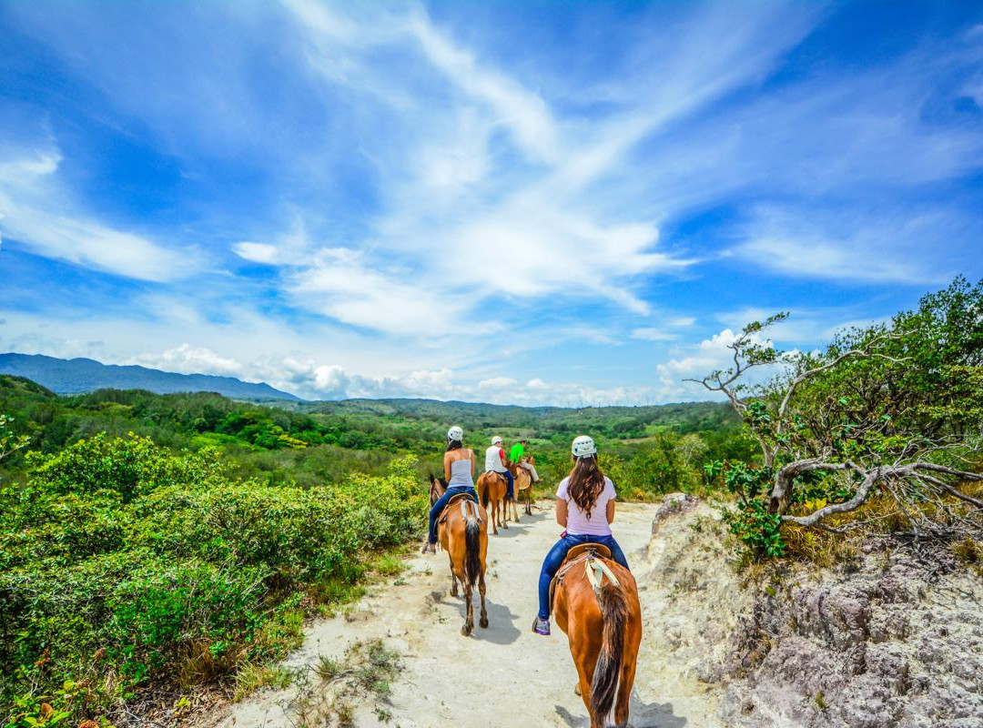 Vida Aventura Nature Park景点图片