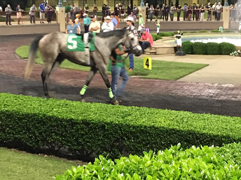 Lone Star Park-大草原城必去景点