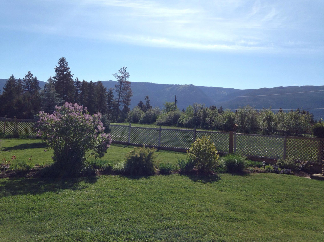 Schubert Estate Bed & Breakfast主图