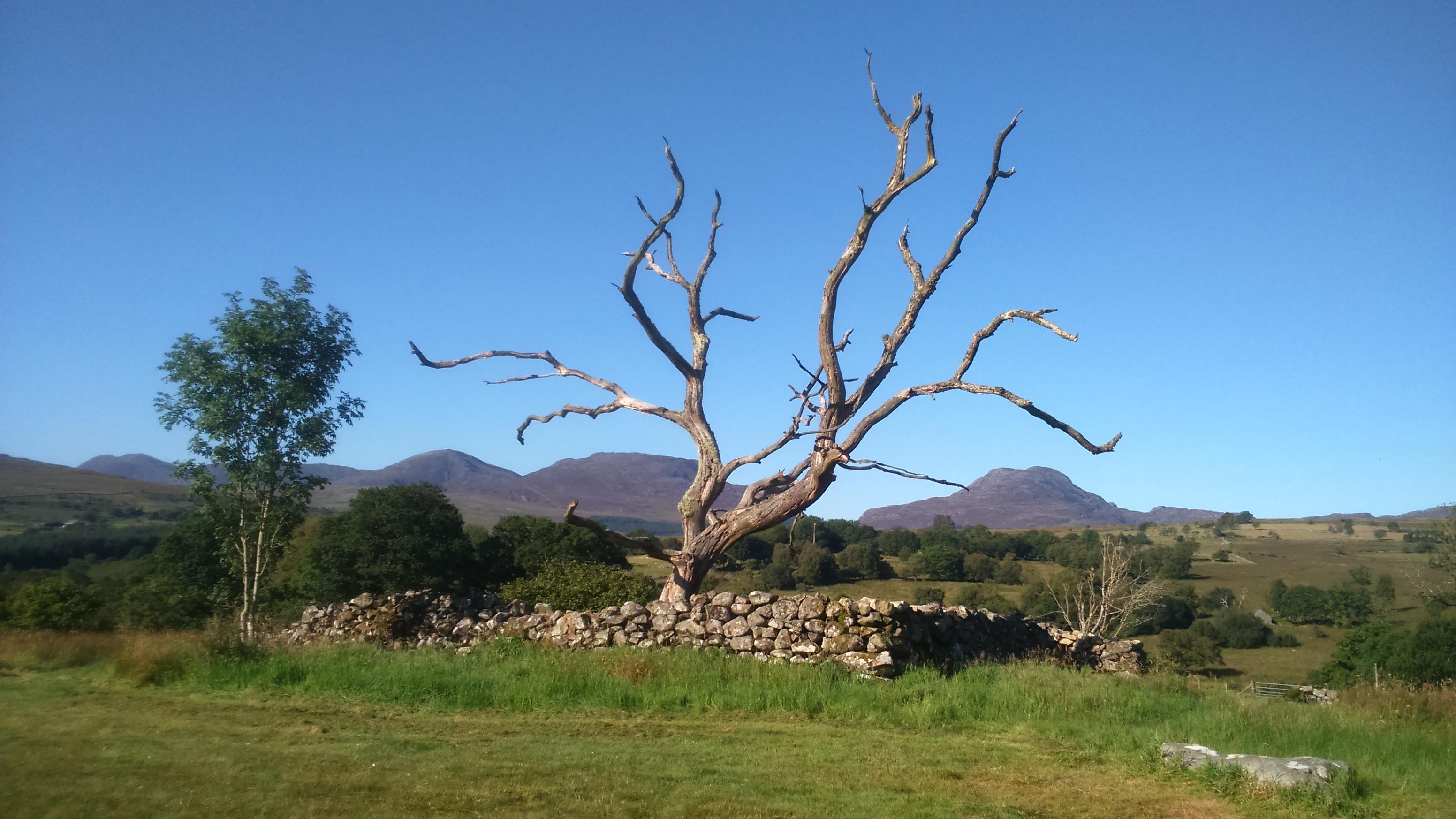 Cae Gwyn Farm Holidays-官方