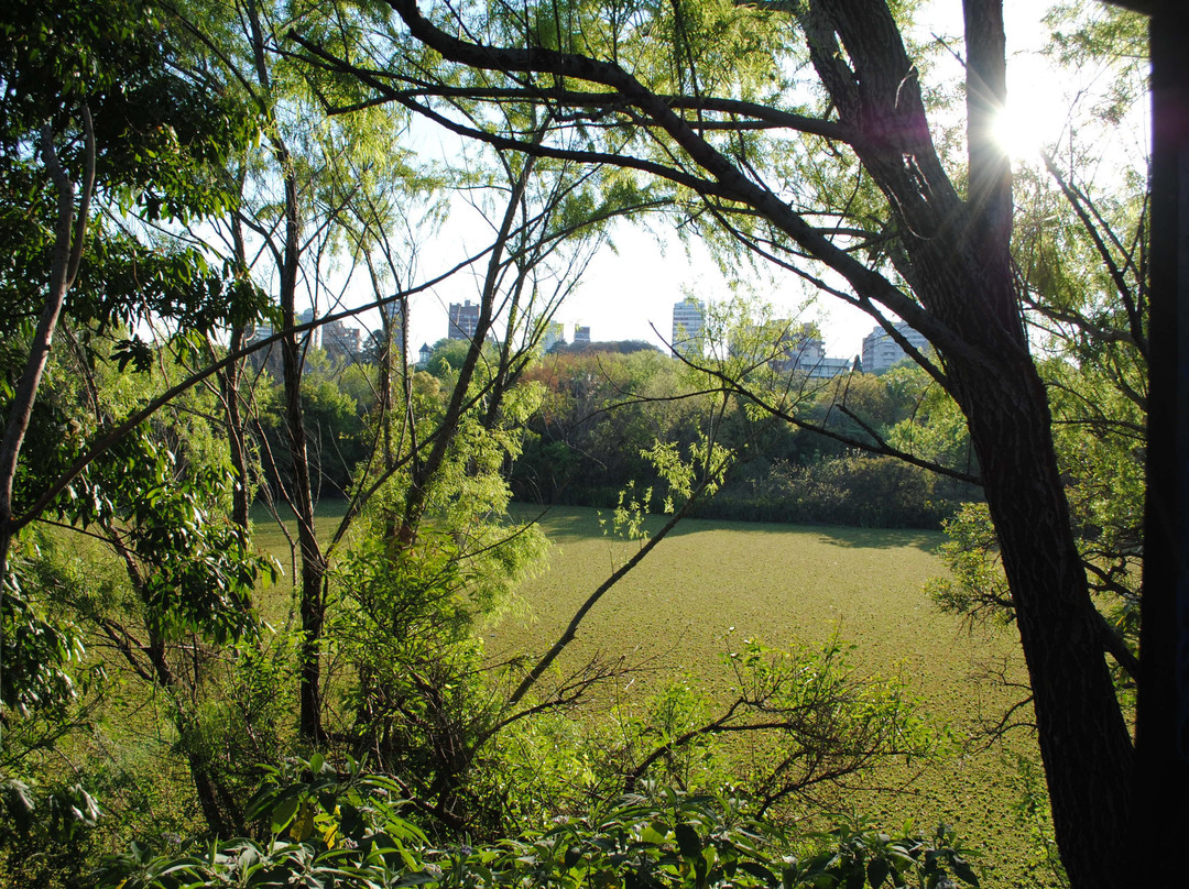 Guided Tour San Isidro-Acassuso必去景点