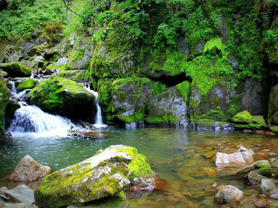 Cascading Waterfalls Third River景点图片