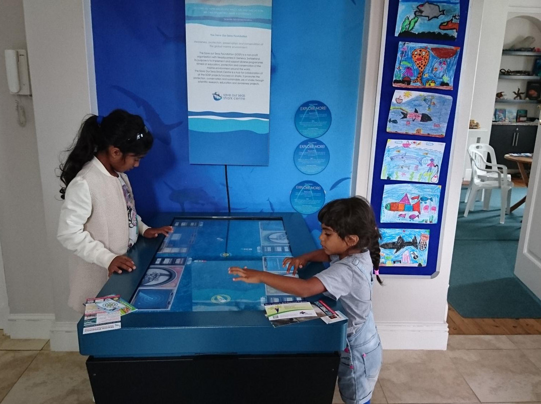Save Our Seas Shark Centre景点图片