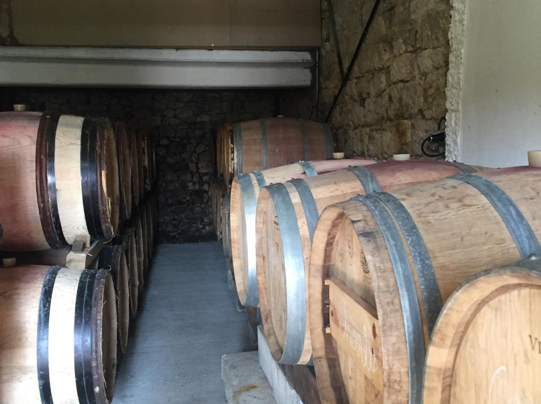 Fine Wine Tours-马扎梅必去景点