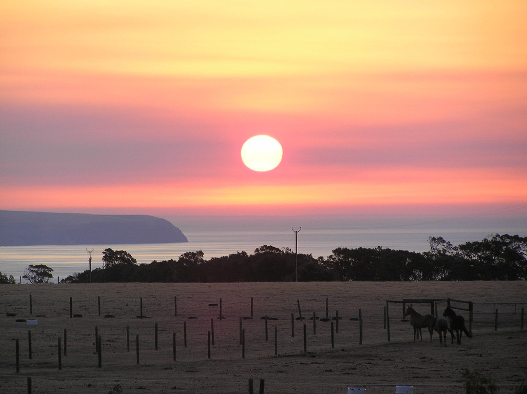 Dee's Villa B&B主图