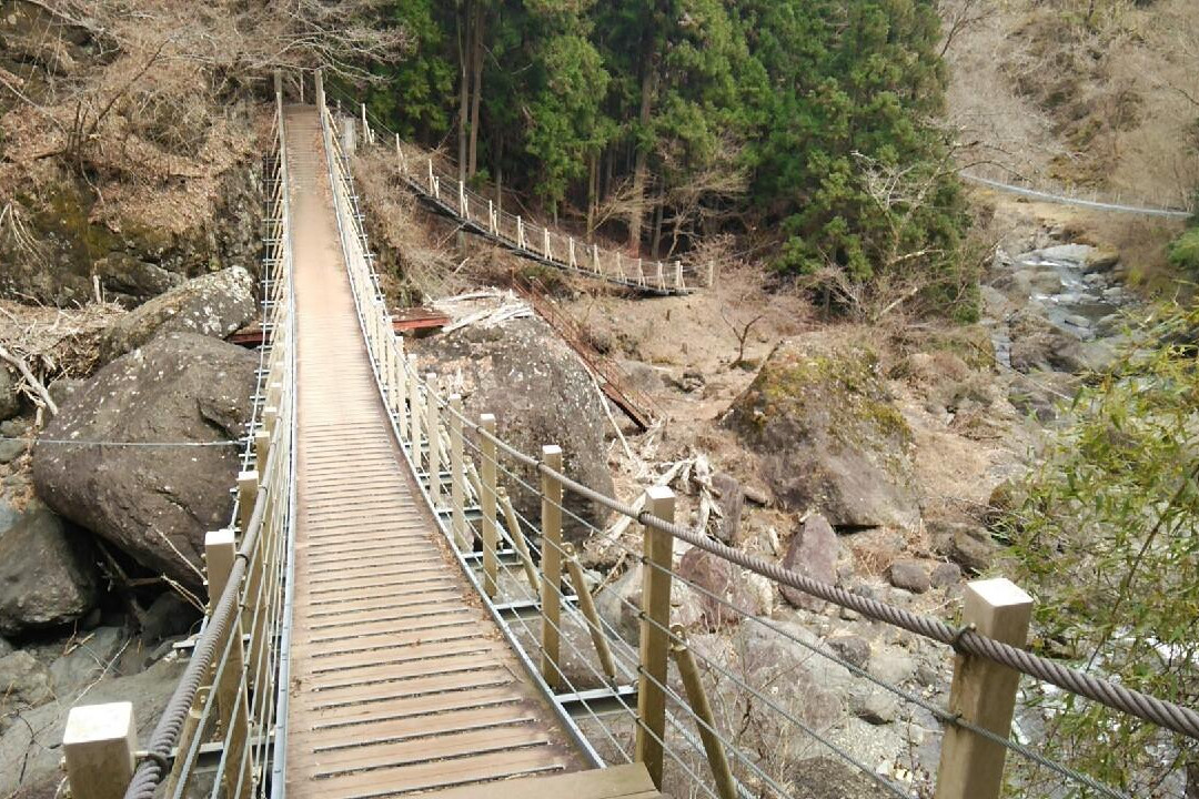 Oyanagawa Promenade景点图片
