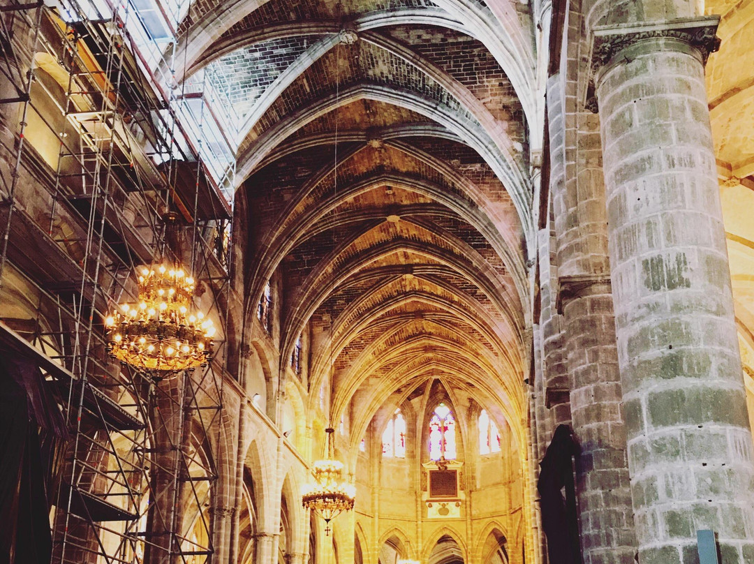 Bazas Cathedrale景点图片