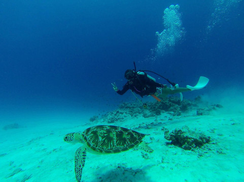 X-Trip-名护市必去景点