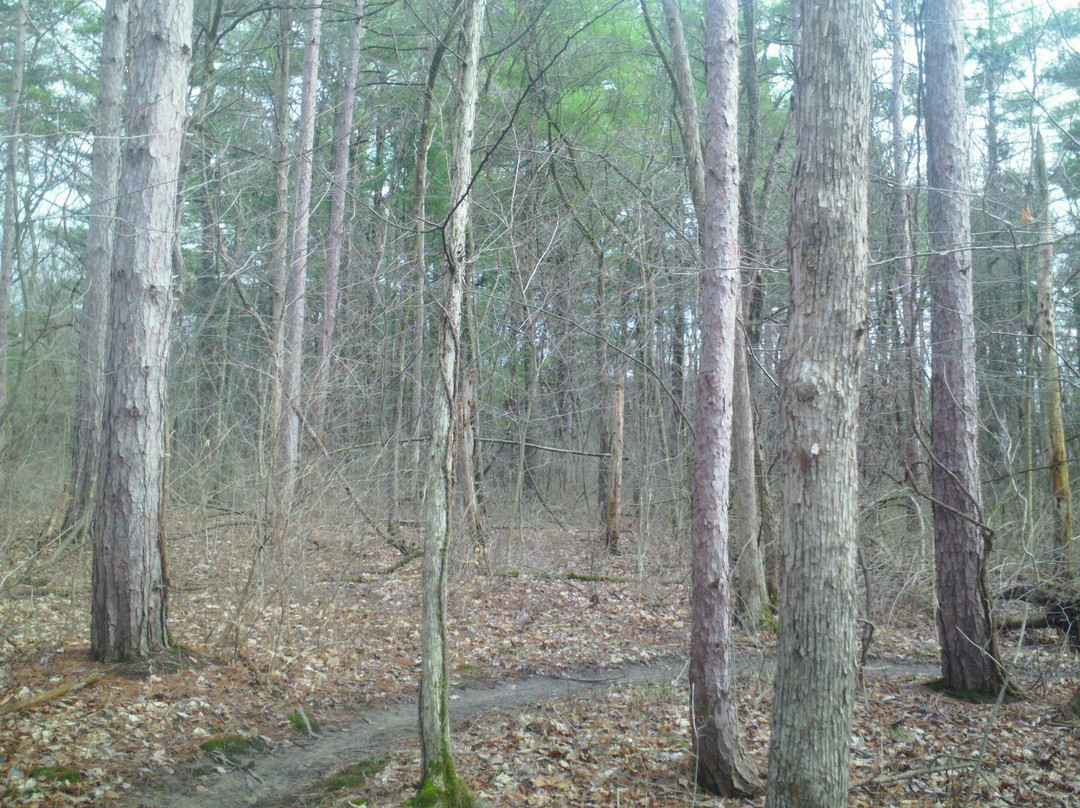 Van Buren State Park-Van Buren必去景点