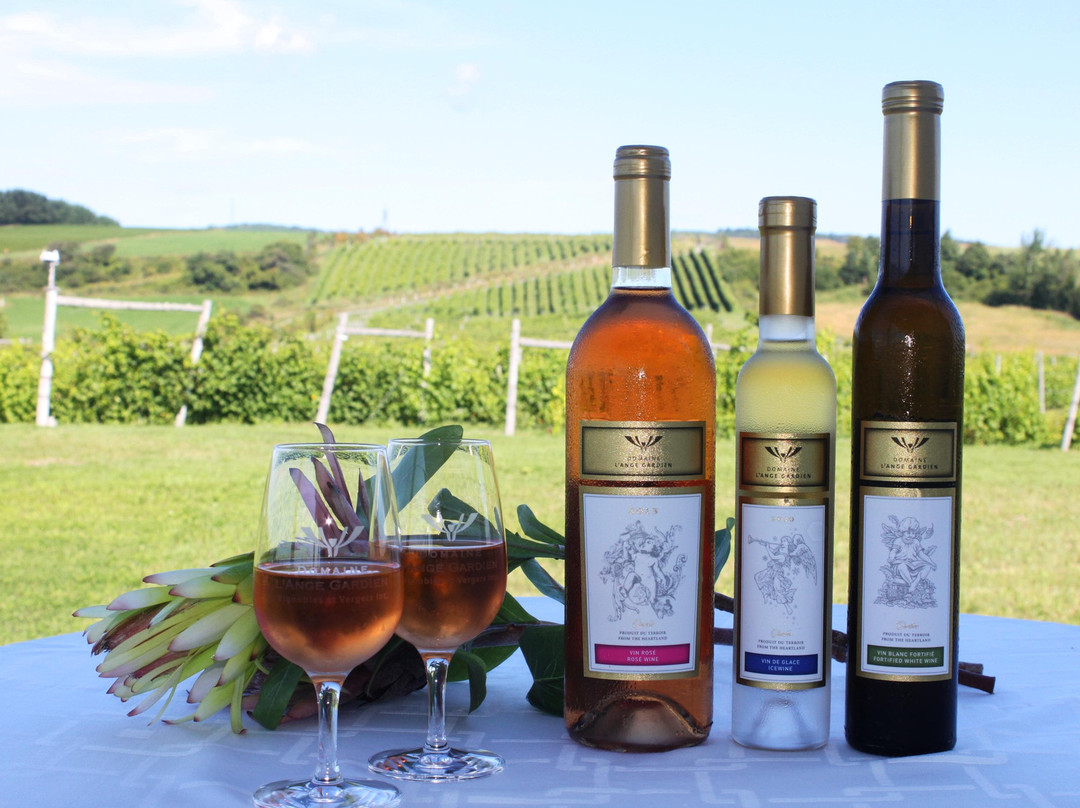 Vignoble Domaine L'Ange Gardien景点图片