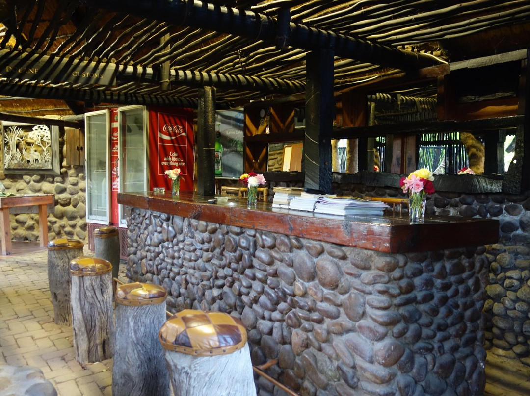 Bush Baby Lodge