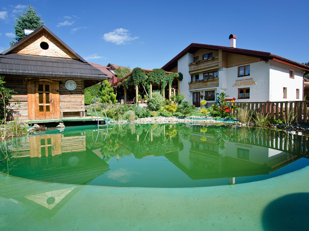 Staskov酒店住宿-Rodinny Penzion Alpinka