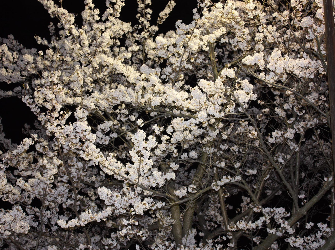 Miyama Park景点图片