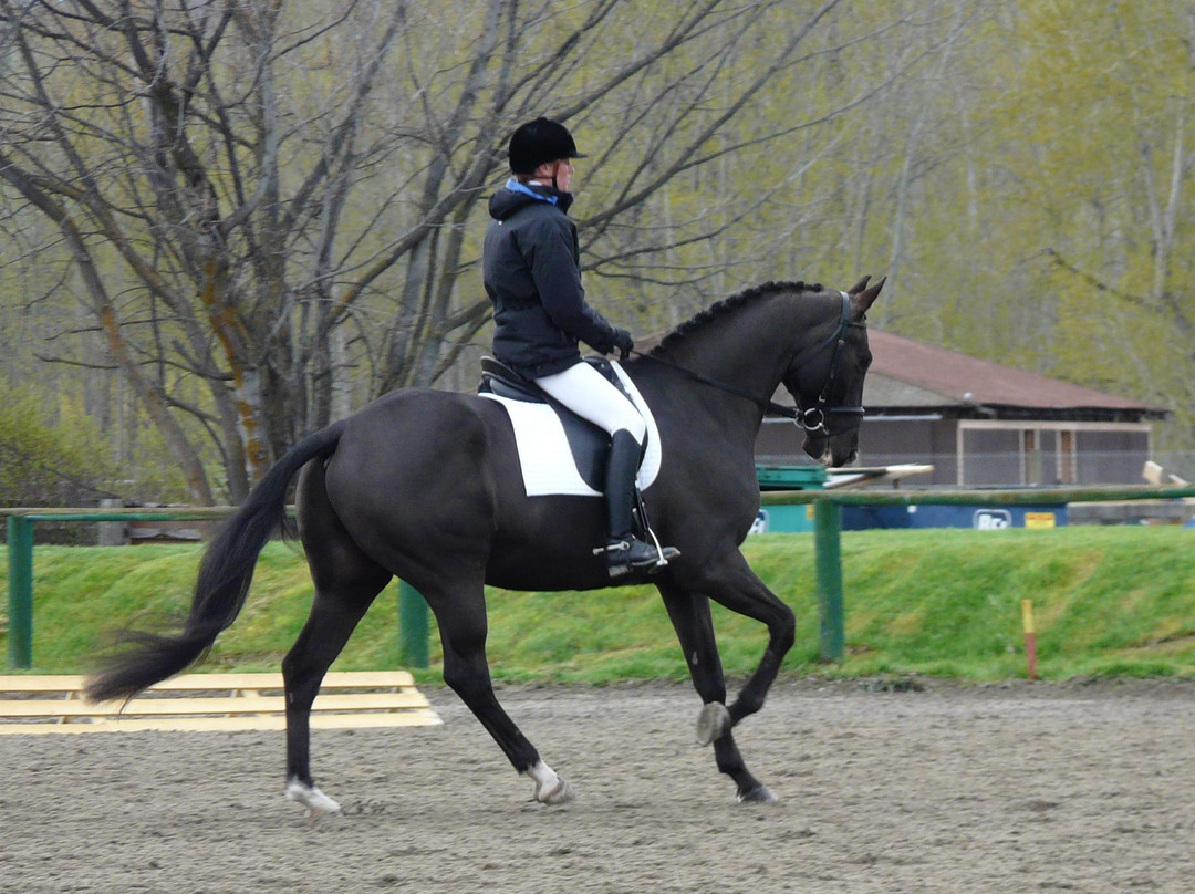 Bridlewood Riding Centre景点图片