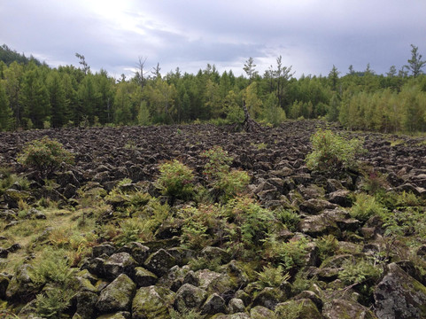 呼伦贝尔柴河-扎兰屯市必去景点