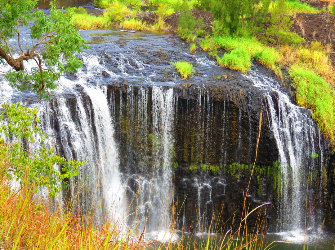 Millstream Falls National Park