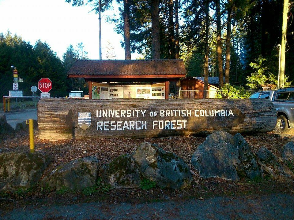 Malcolm Knapp Research Forest-枫树岭必去景点