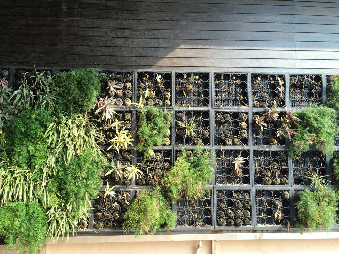 Nyex Beach Club-安朱纳必去景点