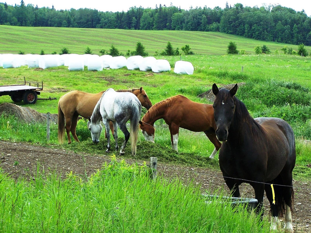 Tronçon Sénescoupé du Sentier National-Saint-Jean-de-Dieu必去景点