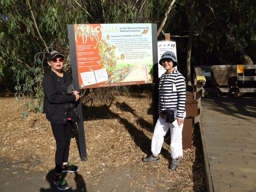 Monarch Butterfly Natural Preserve-圣克鲁斯必去景点